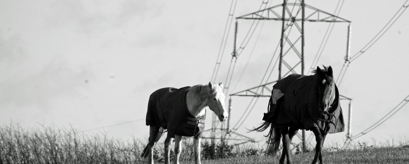 Black & White