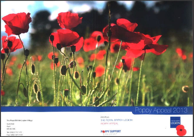 British Legion - Poppy Photograph